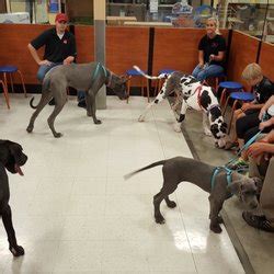 Petsmart jackson tn - Jackson, TN 38305. From $9 an hour. Full-time + 1. 30 to 45 hours per week. Day shift + 4. Easily apply. This position entails helping with the care of the dogs staying at our facility, including let outs, feeding, medication administration, record keeping and…. Active 17 days ago ·. More... 